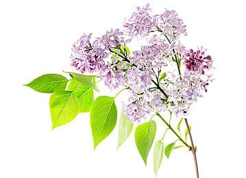 消息称《地狱之刃2》将于明年5月21日发售